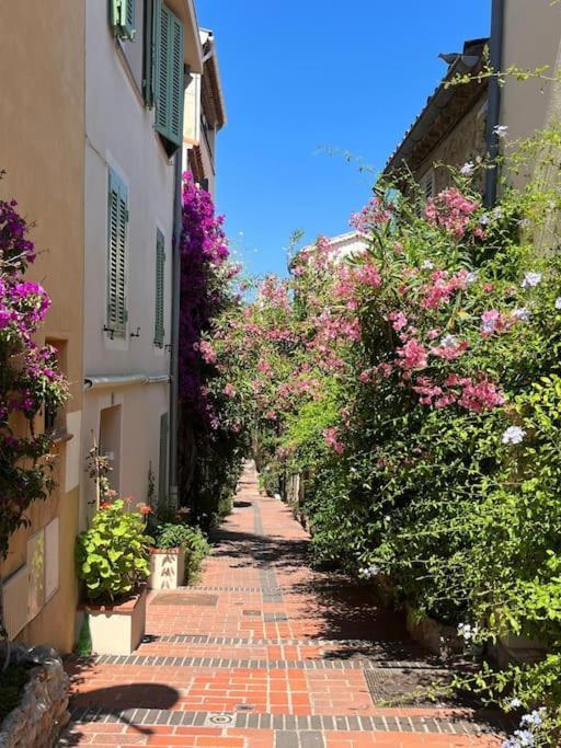 Strelizia - New Central Old Antibes For 4 Ac Buitenkant foto